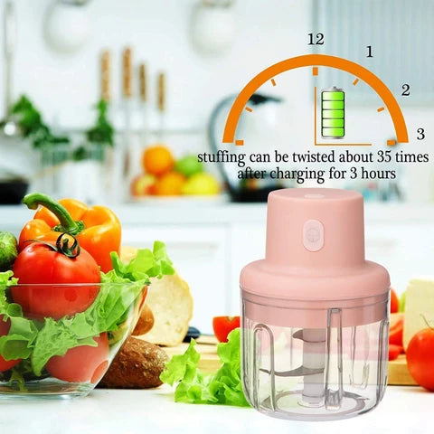 KolorFish Electric Mini Garlic Chopper 250ml Electric Vegetable Chopper